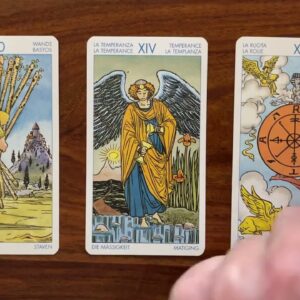 Find your higher purpose 14 February 2023 Valentine’s Day 💝 Daily Tarot Reading with Gregory Scott