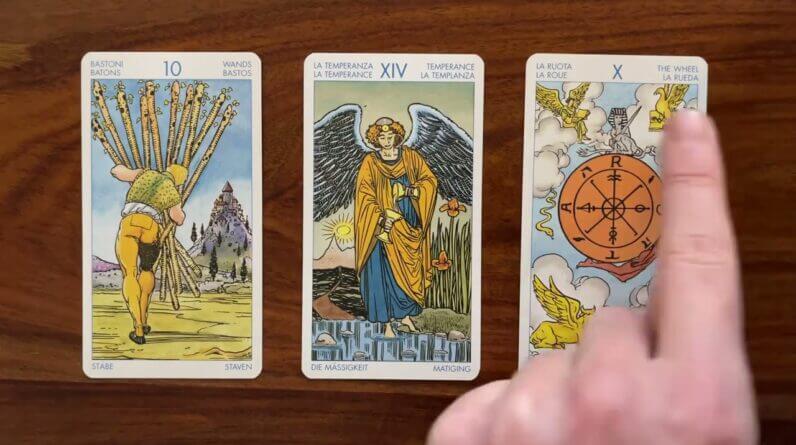 Find your higher purpose 14 February 2023 Valentine’s Day 💝 Daily Tarot Reading with Gregory Scott