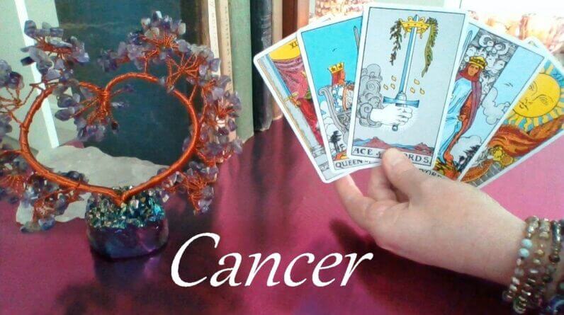 Cancer Mid February 2023 ❤ You Have No Idea How Much You Affect This Person Cancer!! #Tarot