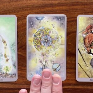 Window of opportunity 1 March 2023 Your Daily Tarot Reading with Gregory Scott