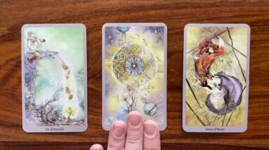 Window of opportunity 1 March 2023 Your Daily Tarot Reading with Gregory Scott
