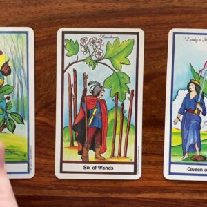 Time to see things differently 21 February 2023 Your Daily Tarot Reading with Gregory Scott