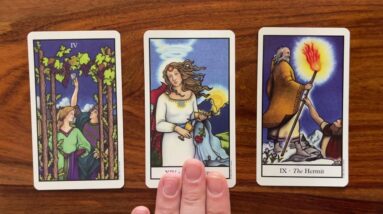 The search is over! 16 February 2023 Your Daily Tarot Reading with Gregory Scott