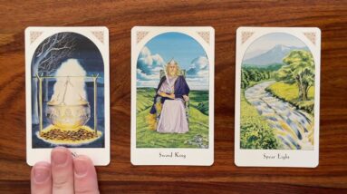 Emotional clarity! 10 February 2023 Your Daily Tarot Reading with Gregory Scott