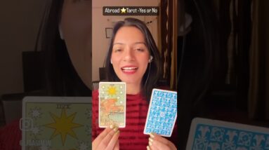 Will you go Abroad-Tarot Yes or No #lisasimmi #2023tarot #freetarotreading #abroad #travel