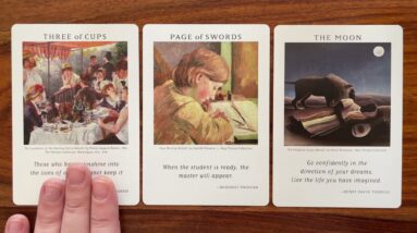 Make new connections 8 February 2023 Your Daily Tarot Reading with Gregory Scott