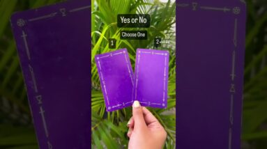 Yes or No Tarot 🔮Ask your Questions #lisasimmi #pickacard #yesornoreadings #ajjkarashifal #mahadev