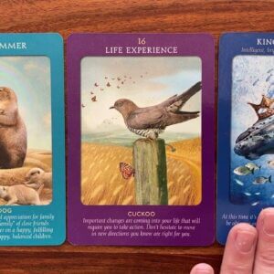 How to embrace change and live happily! 5 February 2023 Your Daily Tarot Reading with Gregory Scott