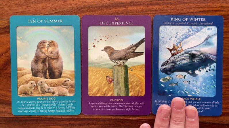 How to embrace change and live happily! 5 February 2023 Your Daily Tarot Reading with Gregory Scott