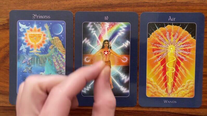 Stop chasing butterflies 11 March 2023 Your Daily Tarot Reading with Gregory Scott