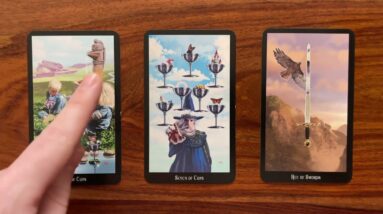 Beyond your wildest dreams 8 March 2023 Your Daily Tarot Reading with Gregory Scott
