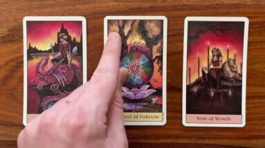 The Wheel of Fortune 23 March 2023 Your Daily Tarot Reading with Gregory Scott