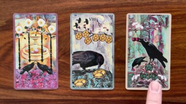 Achieving the seemingly impossible 1 April 2023 Your Daily Tarot Reading with Gregory Scott