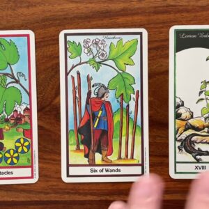 Create your own opportunity 6 March 2023 Your Daily Tarot Reading with Gregory Scott