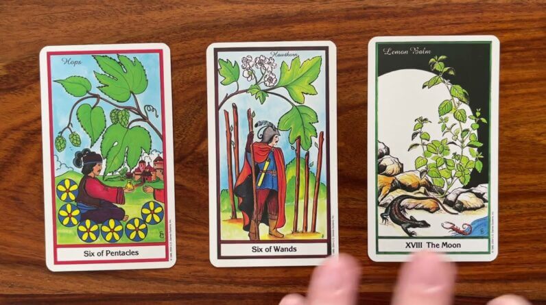 Create your own opportunity 6 March 2023 Your Daily Tarot Reading with Gregory Scott