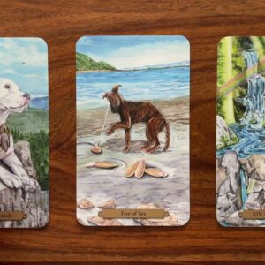 Choose your feelings 14 March 2023 Your Daily Tarot Reading with Gregory Scott