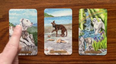 Choose your feelings 14 March 2023 Your Daily Tarot Reading with Gregory Scott