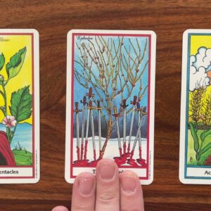 Make a plan for the future 19 March 2023 Your Daily Tarot Reading with Gregory Scott