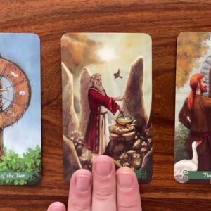 Solidify! 10 March 2023 Your Daily Tarot Reading with Gregory Scott