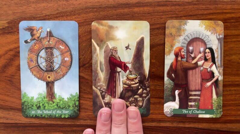 Solidify! 10 March 2023 Your Daily Tarot Reading with Gregory Scott