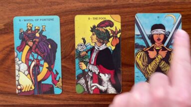 You are the priority 13 March 2023 Your Daily Tarot Reading with Gregory Scott