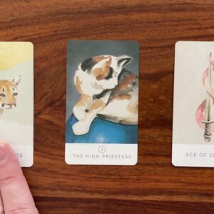 You have a message! 26 March 2023 Your Daily Tarot Reading with Gregory Scott