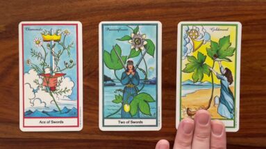 Finally it all makes sense 10 April 2023 Your Daily Tarot Reading with Gregory Scott