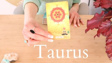 TAURUS ✨ SOMEONE IS LOOKING UP TO YOU ! YOU INSPIRE THEM! - May 2023 Tarot Reading