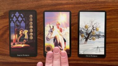 Capture the Sun! 🌞 15 April 2023 ☀️ Your Daily Tarot Reading with Gregory Scott