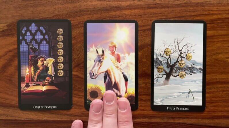 Capture the Sun! 🌞 15 April 2023 ☀️ Your Daily Tarot Reading with Gregory Scott