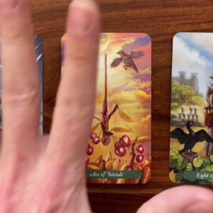 The freedom to live your life purpose 29 April 2023 Your Daily Tarot Reading with Gregory Scott
