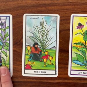 Power up! 24 April 2023 Your Daily Tarot Reading with Gregory Scott