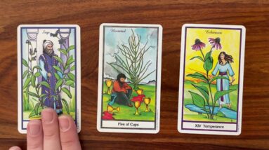Power up! 24 April 2023 Your Daily Tarot Reading with Gregory Scott