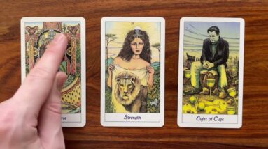 Are you using your strength wisely? 5 April 2023 Your Daily Tarot Reading with Gregory Scott