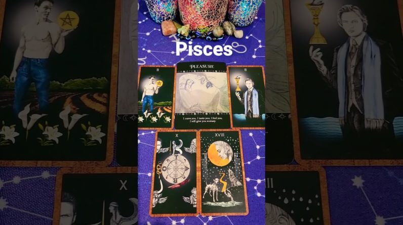 #Pisces ♥️  Their Next Move #tarot #horoscope #astrology #zodiac #tarotreading