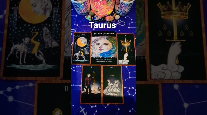 #Taurus ♥️  Their Next Move #tarot #horoscope #astrology #zodiac #tarotreading