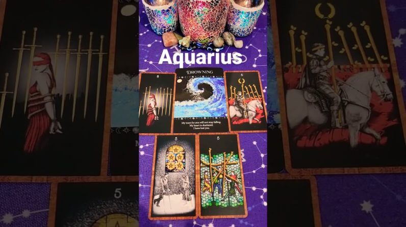 #Aquarius ♥️  Their Next Move #tarot #horoscope #astrology #zodiac #tarotreading