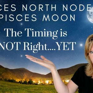 #Pisces : The Timing Is NOT Right...YET | #NorthNode & #Moon | Full #Zodiac #May2023