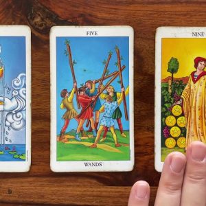 Discover your life purpose 17 July 2023 Your Daily Tarot Reading with Gregory Scott