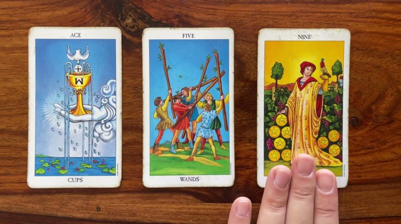 Discover your life purpose 17 July 2023 Your Daily Tarot Reading with Gregory Scott