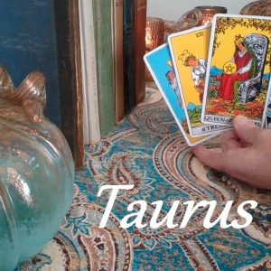 Taurus November 2023 ❤💲 YOU WIN! The Moment Everything Falls Into Place! LOVE & CAREER #Tarot
