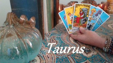 Taurus November 2023 ❤💲 YOU WIN! The Moment Everything Falls Into Place! LOVE & CAREER #Tarot