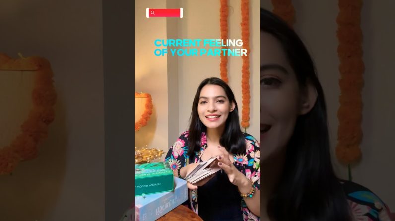 Current Feeling of your Partner #tarotreading #2024horoscope #lovereading #shorts 1 Current Feeling of your Partner #tarotreading #2024horoscope #lovereading #shorts