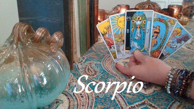 Scorpio Mid November 2023 ❤💲 MORE THAN WORDS! Their Actions Speak Louder Scorpio! #Tarot 1 Scorpio Mid November 2023 ❤💲 MORE THAN WORDS! Their Actions Speak Louder Scorpio! #Tarot