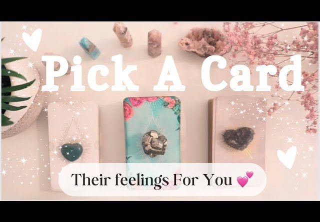 💗💫 PICK A CARD ✨Their Current FEELINGS For You 💕 Timeless Tarot Reading