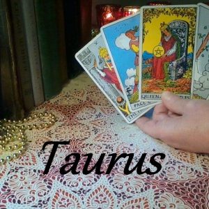 Taurus ❤ SPICY! They Like To Watch Who They Are Attracted To . . . YOU Taurus! FUTURE LOVE December