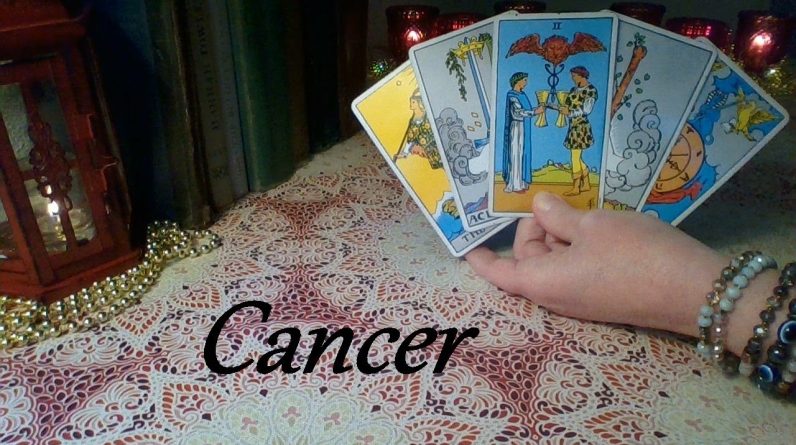 Cancer Mid December 2023 ❤💲 YOU ARE THE KARMA! Things Are About To Get Wild Cancer! #Tarot