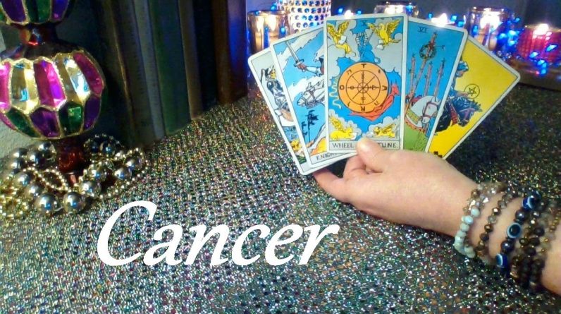 Cancer 🔮 RING! RING! Hungry For Your Attention Cancer!  December 24 - January 6 #Tarot