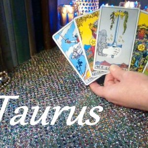 Taurus 🔮 HAPPENING FAST! The Perfect Time, With The Perfect Person! December 24 - January 6 #Tarot