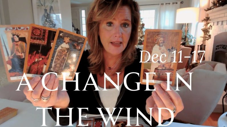 Twin Flame Collective : A Change In The Wind